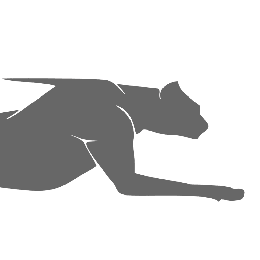 ADMEX ADVANCED MOTION EXPERTS